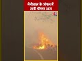 तेजी से फैल रही उत्तराखंड के जंगल की आग | Nainital forest fire | #shorts #shortsvideo #viralshorts