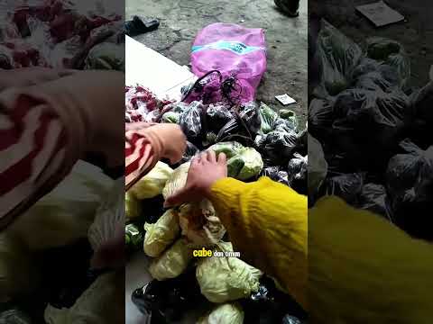 sayuran murah serba seribu #shorts #budidayatanaman #berkebun #vegetables #viral #buah #pedagang