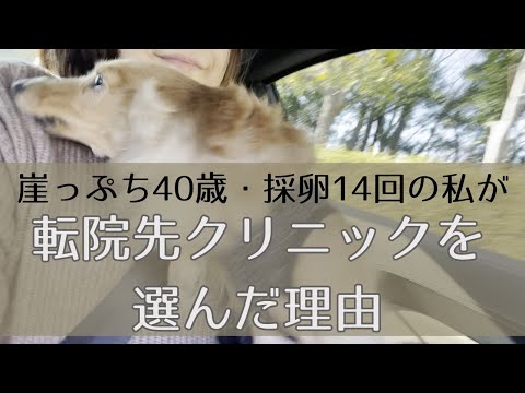 【不妊治療】崖っぷち40歳・採卵14回の私が転院先クリニックを選んだ理由4選@低AMH/40歳・体外受精14回・流産3回