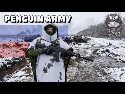 #243 Avances de Pingüino