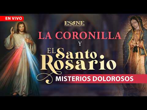 EN VIVO: Hora Santa frente al Santísimo Sacramento