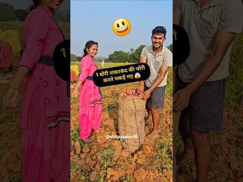 एक बोरी शकरकंद की चोरी करते पकड़े गए 😱🫢#miniblog #villagelife #dailyvlog #vlog @shilpasahu18
