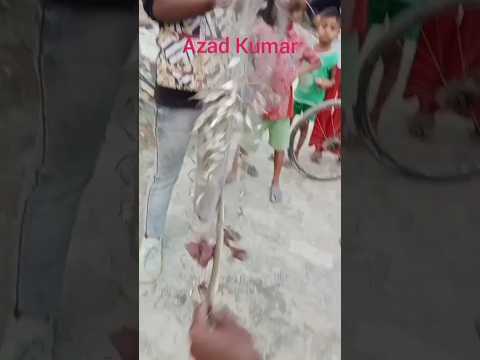 चला गया चांद #kahan Aasman Ko#chhod ke#🌌🌠🙏😃😂👍#azad #kumar #comedy