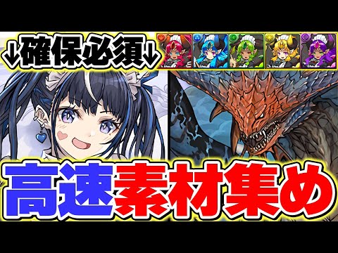 交換所メイドネレを確保しよう！メイドイベ上級を１分台でポチポチ周回！！代用解説も！【パズドラ】