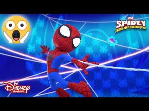 Spidey Nerede? 🙄| Marvel Spidey ve İnanılmaz Arkadaşları | Disney Channel TR