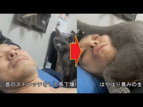乗りそうな雰囲気を感じ取って撮影を始めた飼い主