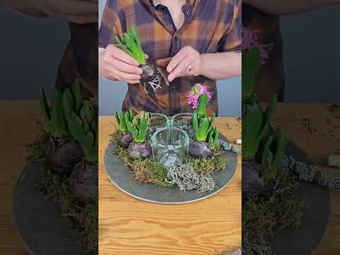 Frühling trifft Kerzenschein 🌸🕯️