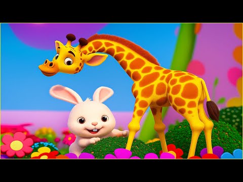 Con hươu cao cổ - Nhạc thiếu nhi - Bim Bim TV