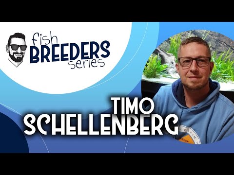 FISH BREEDERS SERIES | Timo Schellenberg FISH BREEDERS SERIES
Welcome to the new series of lives of the Paraíso Pleco project.

We will w
