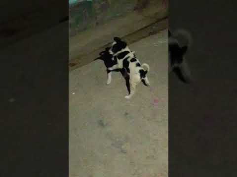 #funny #comedy #trendingvideo #viralvideo 🤣🤣