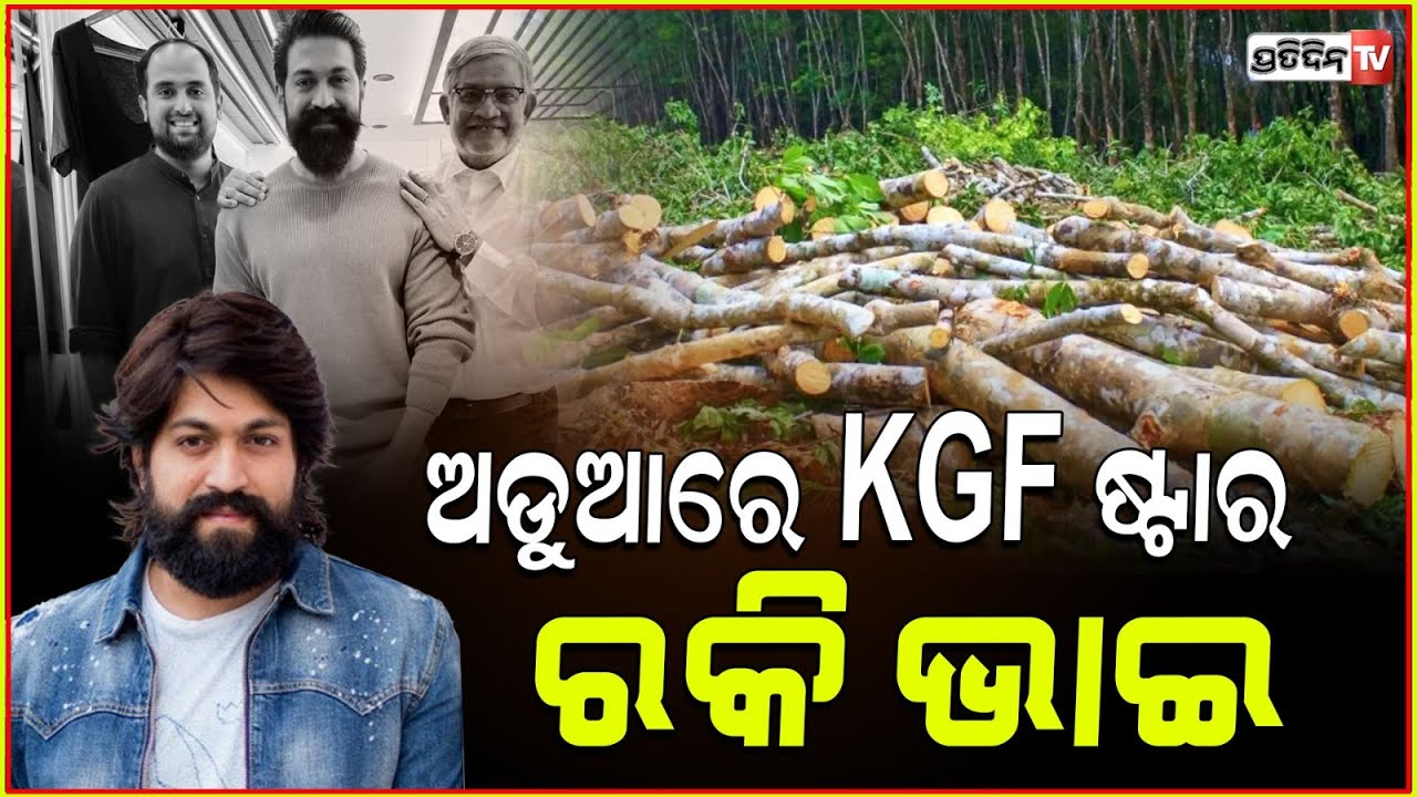 ବିବାଦ ରେ KGF ଷ୍ଟାରଙ୍କ ଫିଲ୍ମ! Yash’s High Stakes Rs 300 Crore Movie Toxic Faces Controversy.