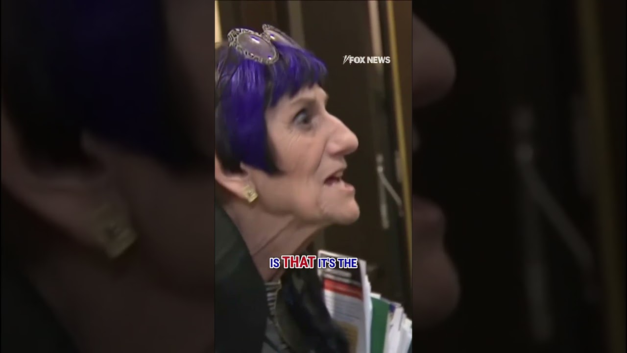 'Go get the money goddamit!': Dem rep melts down over funding fight #shorts #us #foxnews #shutdown