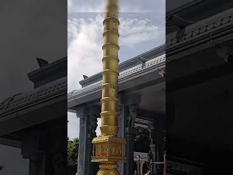 முருகனின் அருள்| வெற்றி வேல் முருகா! நான் உன்னை தேடி வந்தேன்|Muruga! Naan unnai thedi vanthen