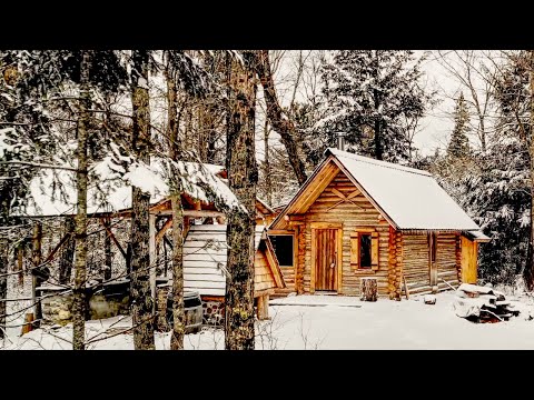 This is It! My New Off Grid Log Cabin in the Wilderness | The End and The Beginning