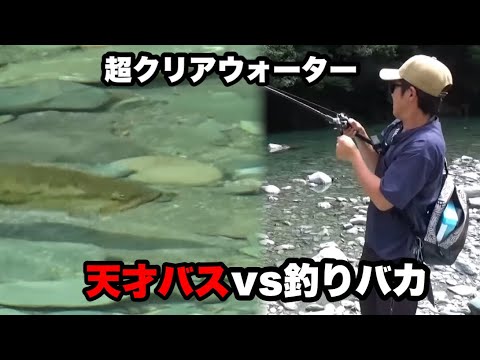 飲めそうなくらい綺麗な川にいる天才バスと勝負してきました