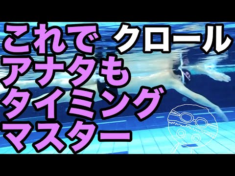 【クロール】タイミングマスター【重要】泳ぎを理解して楽に・速く泳ごう【コツ・テクニック】