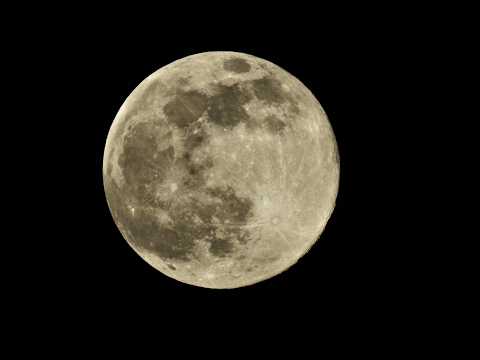 UFO/UAP, Moon life, Something Crossing the Moon thats no bird, all comments welcome.