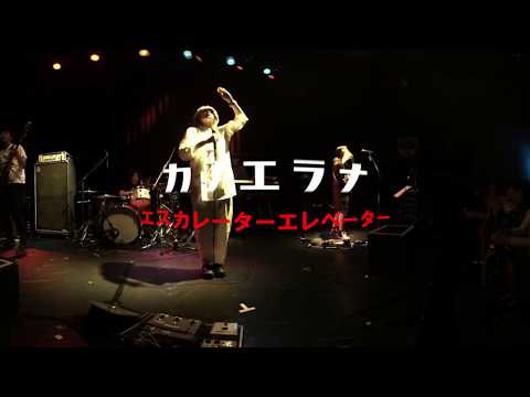 カノエラナ「エスカレーターエレベーター」360° VR