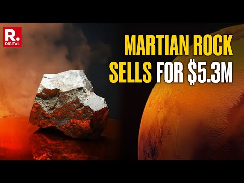 Mars Rock Mania: Largest Martian Meteorite on Earth Sells for $5.3 Million at NY Auction