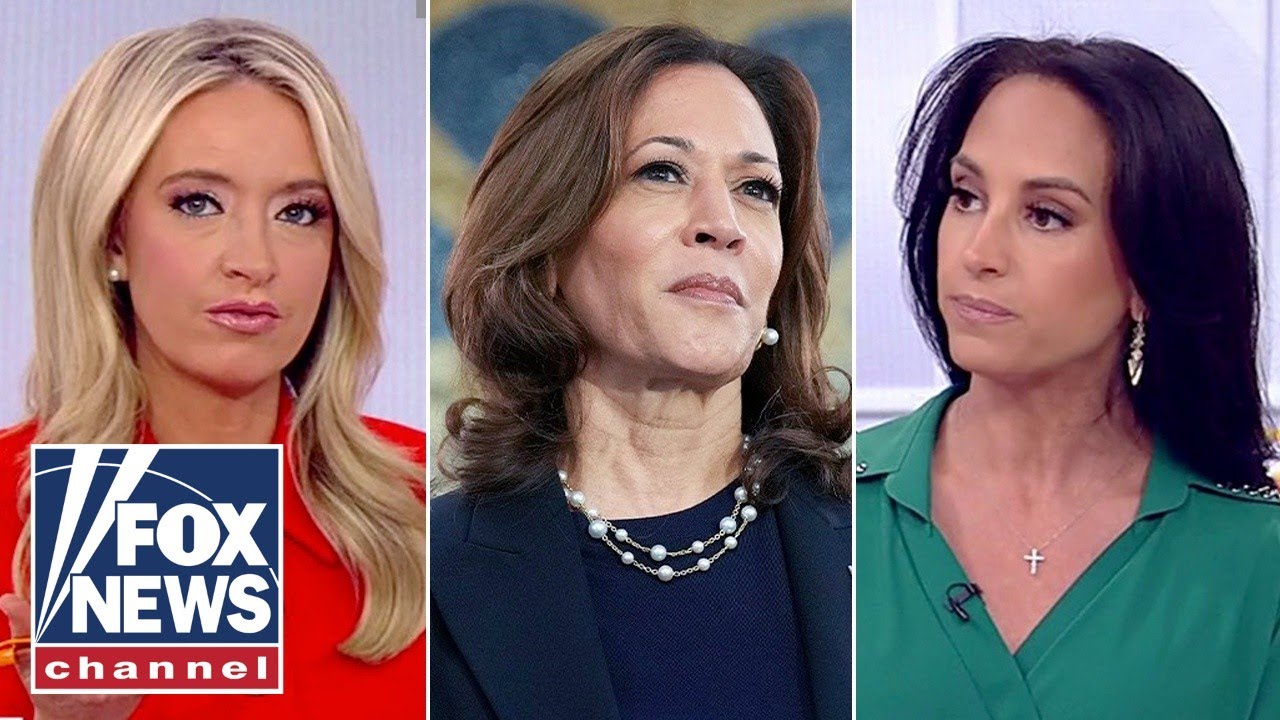 'SHALLOW': Kamala Harris ripped over latest push for unity