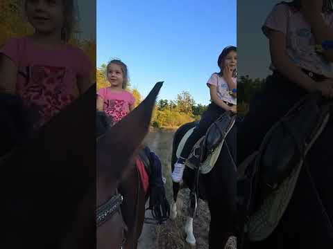 ЯК РОЗВАЖАТИ ДІТЕЙ 💫🫶 2025 р.