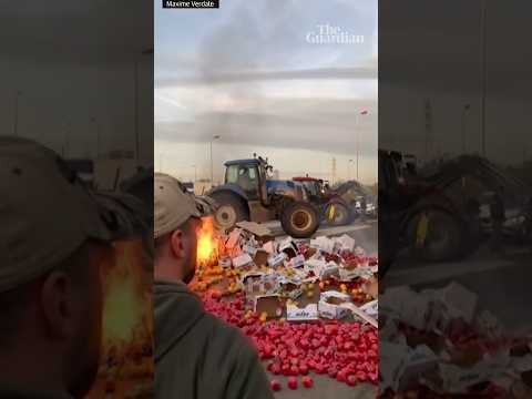 French farmers overturn truck carrying red peppers