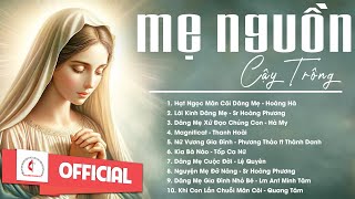 Album Liên Khúc Thánh Ca | Mẹ Nguồn Cậy Trông | Những Bài Thánh Ca Cầu Nguyện Với Mẹ Hay Nhất