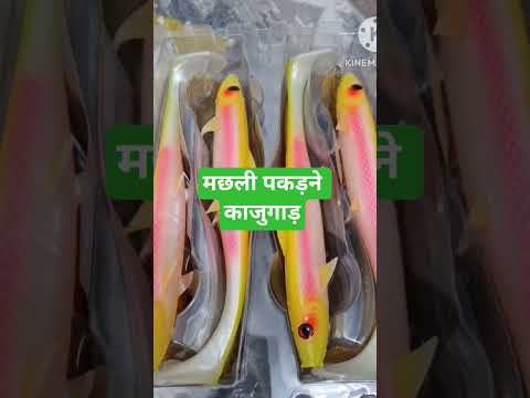 gsfjjjjkfbnjdv जग्गू थे फायदें नग्निएव सेक्स