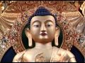 Buddha Vandana Hi Dhaama Vandana I Bhima Tujhya Pathavar
