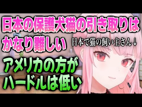 海外よりも日本の方が里親になるのが難しい理由を語るカリオペ【日英両字幕】