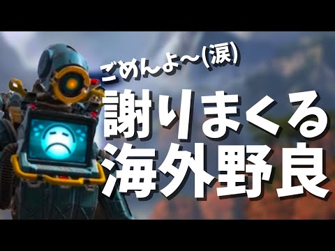 【Apex Legends】絶賛スランプ中の海外野良がめちゃくちゃ謝ってて可愛いw【PS4/日本語訳付き】