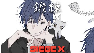 【シージ】鍛練を怠るな【小柳ロウ/にじさんじ】