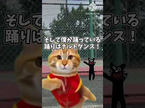 【猫ミーム】ホドモエ猫はビッグになりたい　#猫ミーム #猫マニ #Catmeme #shorts #ナルトダンス #キヨ