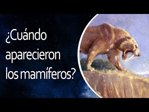 ¿Cuándo aparecieron los mamíferos?