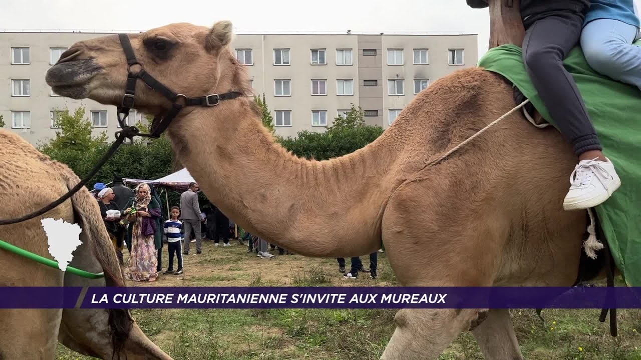 Yvelines | La culture Mauritanienne s’invite aux Mureaux