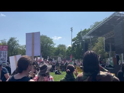 Convention dem a Chicago, manifestanti pro-Palestina a Union Park