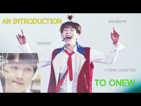 An Introduction to Onew