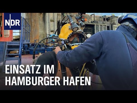 Hamburg: Die Hafentaucher | Die Nordreportage | NDR Doku