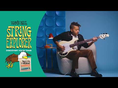 Ernie Ball String Explorer: Stainless Steel Flatwound Bass 4-String