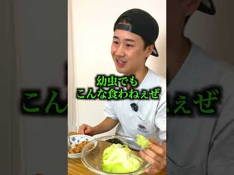 タコスミートでレタス丸ごと1個食べ切る！#大食い #asmr #タコス #レタス
