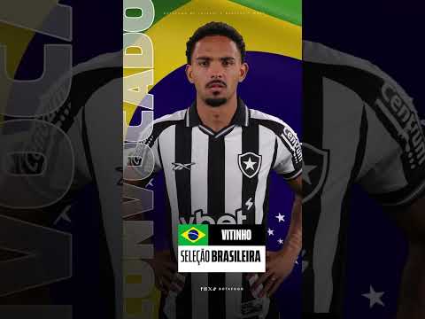 image para ilustrar o artigo