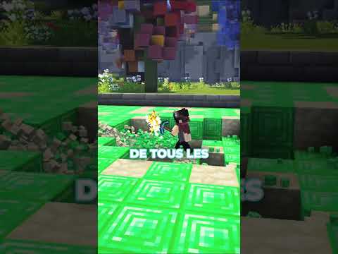 ⬆️ Rejoins le Discord en bio - Personne n'a réussit à être top 1 sur mon serveur minecraft !