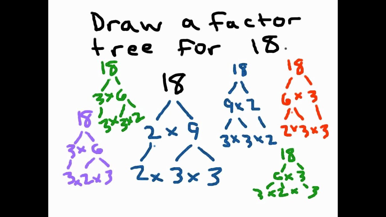 factor-trees-youtube