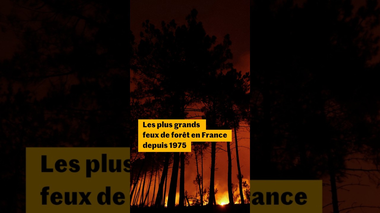 Les plus grands feux de forêt en France depuis 1975
