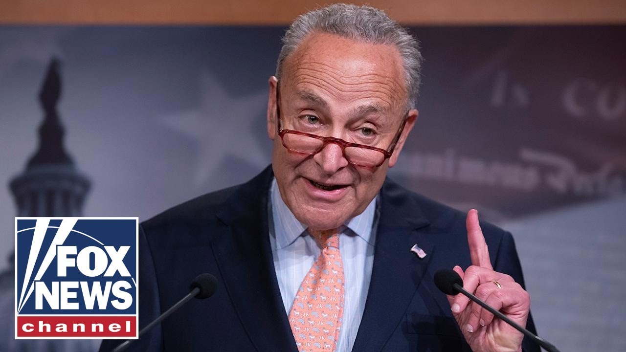 Mike Johnson: Chuck Schumer is playing a 'self-serving political game'