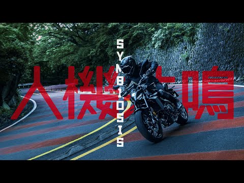 Vol.6　制御変速システムY-AMTの開発