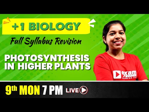 Plus one Complete Revision | Biology  | Photosynthesis in Higher Plants | Exam Winner