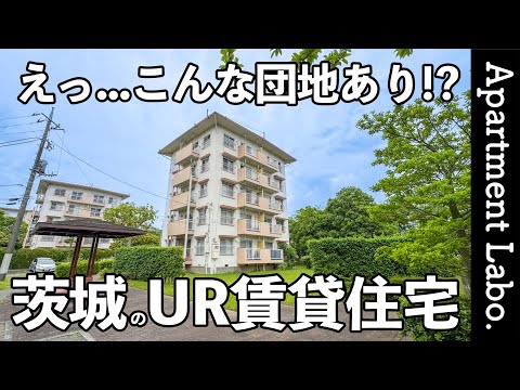 希少な団地!?茨城にある上下2部屋を使えるUR賃貸住宅がすごかった【一人暮らし&二人暮らし/取手井野団地】
