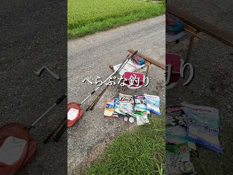 癒しの景色と、竿が曲がる感動の一瞬 #やすべえの秘密基地