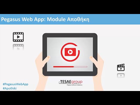 Pegasus Web App - Module Αποθήκη